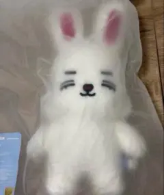 MINITEEN ぬいぐるみ チェチェリー SEVENTEEN seventeen マグネット チェチェリ エスクプス miniteen ミニティーン アイドル