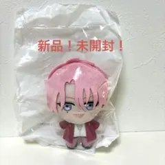 オンクレ未開封品】多聞くん今どっち！？ぷれちゃす 多聞教ぬいぐるみ