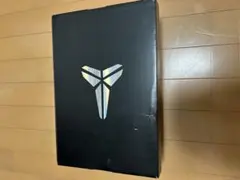 Nike Kobe MAMBA FOCUS ブラック/イエロー