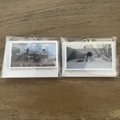 フィッシャーズ キャラクターグッズ