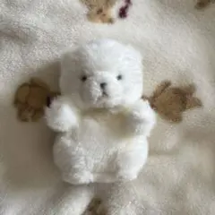 《匿名配送》　たけのこ　ジョイフルメイト　くま　白熊　しろくま　ぬいぐるみ　クマ