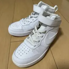 Item thumbnail for item 8d24c375-cfb1-4fa6-b780-3919049e84ef