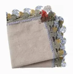 【新品・未使用】近沢レース シーズンタオルハンカチ 恐竜（グレージュ）