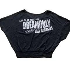 オーバーサイズ 黒 Tシャツ グラフィックプリント レオパード柄