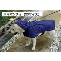 Item thumbnail for item f0bed7f3-418e-4e45-a5f0-f368f411916d