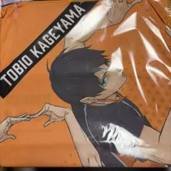 アクエリアス　ハイキュー!!　クールタオル