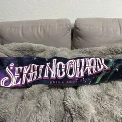 SEKAINOOWARI アリーナツアータオル