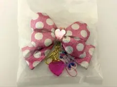 ディズニー　パルパルーザ　ミニーのファンダーランド　キーチェーン　シークレット