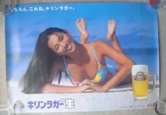 矢野アリーネ 2002年アサヒビール ポスター 11枚セット - メルカリ