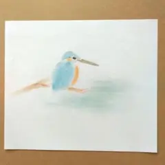 パステル画　カワセミ　原画