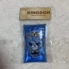 2026年最新】三代目KINGDOMの人気アイテム - メルカリ