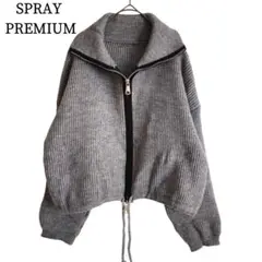 2579 美品 スプレイプレミアム ジップアップショート丈ニット グレー F