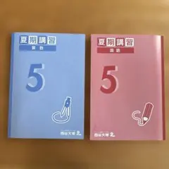 【四谷大塚】夏期講習 算数・国語 5年生