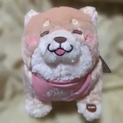 忠犬もちしば ぬいぐるみ しっぽふりふりギミック３