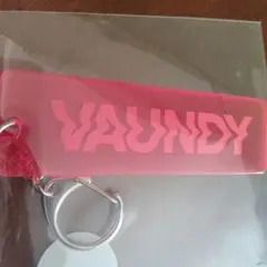 2026年最新】VAUNDy グッズの人気アイテム - メルカリ
