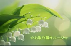 みぃ様　5点おまとめリクエスト
