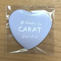 セブチ ジョンハン　缶バッジ