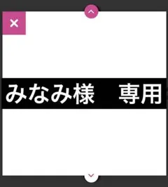みなみ様専用