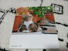 Item thumbnail for item 8c978239-a6e0-4acd-88d6-5225c279431e