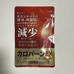 カロバーンEX 体重 体脂肪の減少を助ける 血中中性脂肪 30日分のサムネイル
