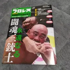 Item thumbnail for item 0438cee2-a571-45be-a11a-b2e7fbd06098