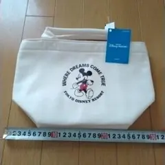 ディズニー　ランチバッグ　保冷バッグ　トートバッグ