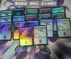 2026年最新】合計枚数/個数：17枚 マジック：ザ・ギャザリングの人気