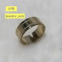 ステンレススチールリング D-06  17号