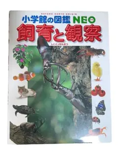 Item thumbnail for item d14f6ca8-3686-46e7-b654-91fc16d38355