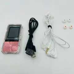 バッテリー良好】ソニー ウォークマン NW-A25 16GB シナバーレッド