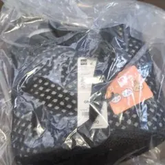 GU ポーチセットバッグ CHIIKAWA ブラック　うさぎ