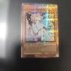 ハレルヤサーカスアコースティックショウDVD - メルカリ