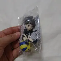 ハイキュー!! プチっとフィギュアvol.5　宮治　未使用
