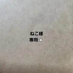 ねこ様専用⭐