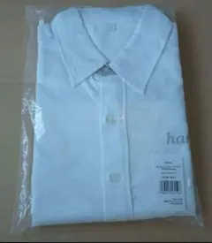 Item thumbnail for item 80be0c1c-e4aa-4e79-a338-65ef6000ecc3