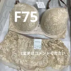 F75 ワコール　ブラショーツセット　ブラジェニック
