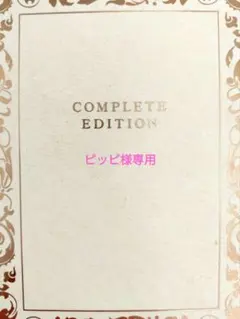ピッピ様専用　5点お纏め　シマエナガ　ピルケース　マグネット　キーホルダー