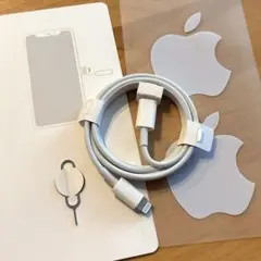 【新品 未使用】typeC-Lightning SIMピン Appleステッカー