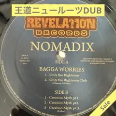 Nomadix Bagga Worries 限定レコード　レゲエ　ルーツ dub