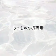 【みっちゅん様専用】 ぷっくりネームボード