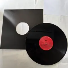 Nas Nas Is Like 12”レコード DJ Premier