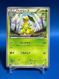 2026年最新】ベイリーフの人気アイテム - メルカリ