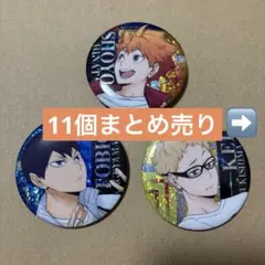 ハイキュー!! 缶バッジビスケット 11個セット