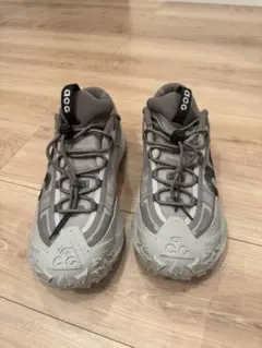 ナイキ 27.5 Nike acg Mountain Fly 2 Low