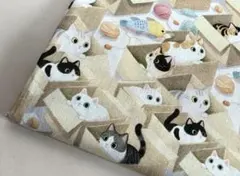 ラスト猫柄ハギレ⑤ ちょっと長め