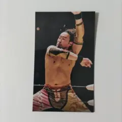 2026年最新】丸藤正道の人気アイテム - メルカリ