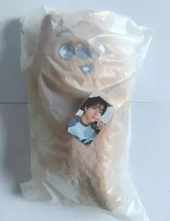 Stray Kids スキズ SKZOO PLUSH BAG ハン