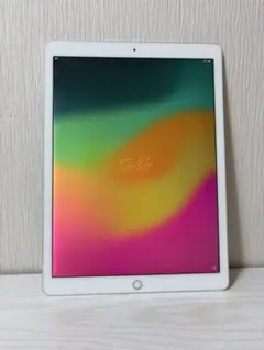 iPad Pro 第2世代　12.9インチ　64GB Wi-Fi