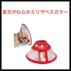 Item thumbnail for item c6a8459c-fcc1-413f-869a-b65c3e36a63b