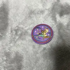 ディズニー　刺繍缶バッジ　アラジン